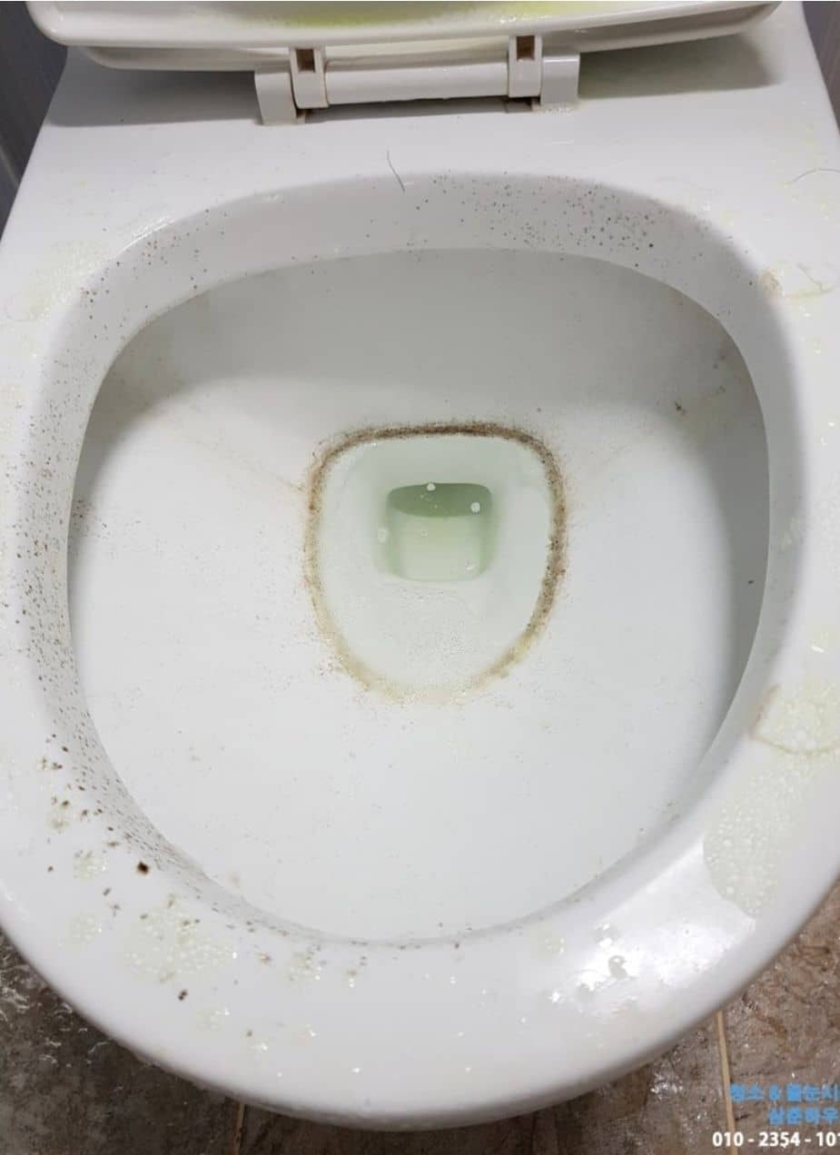 변기 내부 오염 상태 확인
