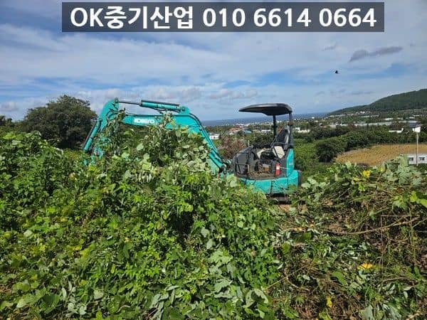 무성한 잡목 사이에서 굴착작업 진행