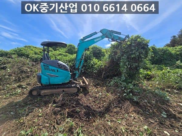 제주 굴삭기로 농지 잡풀 및 장애물 제거